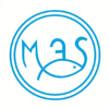 Product from MAS SA Product – product photo, Fresh Whole Salmon Fish products found from trusted suppliers, wholesalers, manufacturers & exporters Listing