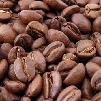 Sri Lankan Green ,Black coffee beans - GALUKU LANKA EXPORTS (PRIVATE) LIMITED - Sri Lanka