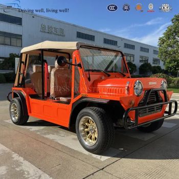 Gas Power Classic Gasoline Mini Moke Sightseeing Vintage Car - GDSS CONSTRUCTION LIMITED - China