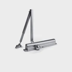 Spring Action Automatic Invisible Door Finish Spring-Loaded Door Closer with Steel Plates - Wenzhou Liwang Hardware Technology Co., Ltd. - China