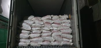 Salted Omasum - Hasan international - India