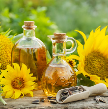 Organic Refined Sunflower Oil High Quality Edible Oil with 99% Purity in Glass Bottle for Cooking and Frying at Very Cheap Price - AGRONOVA - United States