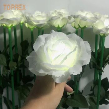 Custom Lighting Decoration Fairy Light Strings Warm LED Flowers - Shenzhen Toprex Festival Decoration Co., Ltd. - China