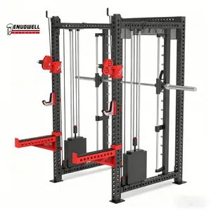 Dual Pulley Iron Functional Trainer Designed with Stainless Steel Bottom Plate Heavy Duty Hooks and Custom Weight Stack Dual Pulle - Shandong Denuo Fitness Equipment Co., Ltd. - China