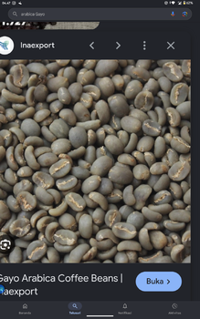 Premium Arabica Gayo Green Bean Coffee Port Belawan Packaging Bag Grade Premium Bean Type Arabica Place of Origin Aceh - PT ANAK MENOL IKAK - Indonesia