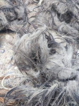 Wool Fibers Camel Wool/Goat Wool with Cashmere/Carpet Grade Wool - Continental Exchange LLC - United Arab Emirates