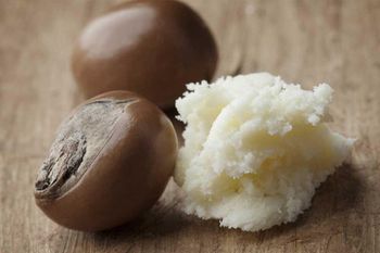Shea Beans (Shea Nuts / Vitellaria Paradoxa Seeds) Grade A Feature Raw Packaging 25kg - Nuivita Essentials LLC - United Arab Emirates