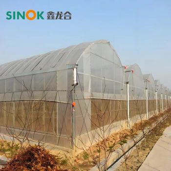 Multi Span Plastic Greenhouse with Hydroponics Planting System/Drip Irrigation System - Shandong Sinok Agriculture Technology Co., Ltd. - China