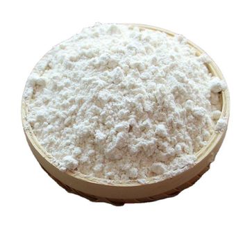 Premium Wheat Grain Food Grade Milling Wheat Bulk Wholesale Supplier