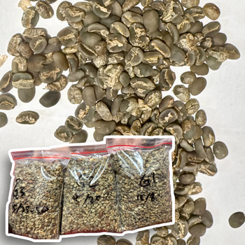 Gayo Arabica Green Bean Coffee – product photo, Organic Arabica Green Coffee Beans products found from trusted suppliers, wholesalers, manufacturers & exporters Listing