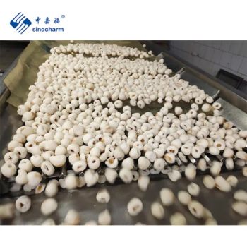 IQF Organic Lychee Fruit Frozen Pitted Lychee Meat Peeled Litchi - Xiamen Sinocharm Co., Ltd. - China