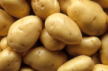 Potatoes🥔🥔 Grade 1 Form Egypt Flavor Earthy Texture Smooth Chemical Free Yes Shelf Life Maximum Quality Control Strict Farming Practice Sustainable - ahlamfoods - Egypt