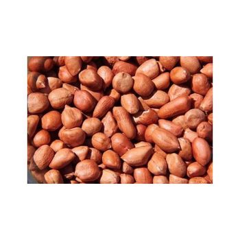 Wholesale Peanuts Organic Peanut Kernels Best Price Raw Peanuts - HIGHPROFILE AGRICULTURE SERVICES LIMITED - Tanzania