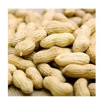 Raw / Roasted salted peanuts for sale at best price  -  CALIPSO POLSKA SP Z OO  - Poland