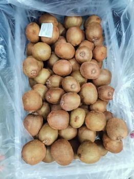 Top Grade Chinese Kiwifuit for Export with High Sweetness Shape Oval Texture Firm Grade Class 1 Brand Name OEM Size 25-33 count - Super vegetables and fruits CO - China