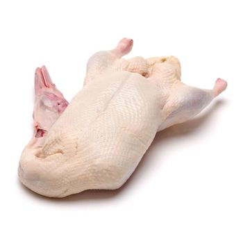 High Quality Frozen Whole Duck Cheap Price Perfect Choice For Retail Stores Food Service And Wholesale Meat - CPW TRADE LTD - United Kingdom