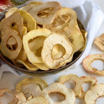 Premium Sweet Freeze Dried Bulk Apple Slices 100% Real Fruit Healthy Ready to Eat Snack - TRADECENTRIC LLC - United States