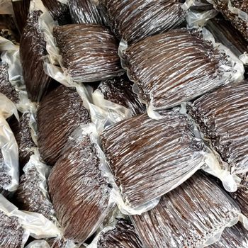 Vanilla Bean Length 16 To 23 Cm Moisture Content 25 - 30 - Bihogo Trading and Travel Agency  - Uganda