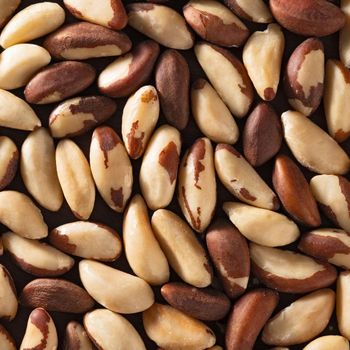Roasted Brazil Nuts Fresh Crunchy Healthy Snack Excellent Quality Wholesale Supply For Retail - CPW TRADE LTD - United Kingdom