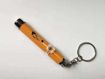 Personalized Mini Aluminum LED Projector Keychain – 3-5m Focus Torch with Custom Logo - Changzhou Sitan Imp. and Exp. Co., Ltd. - China