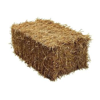 Organic Top-quality Alfalfa Hay/Grass Hay/Pellets for Fish Cattle & Horse Feed - AZU EMOBILITY LLC - Canada