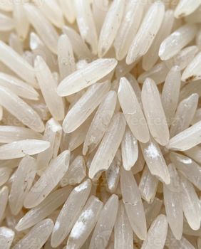 Long Grain Rice Basmati Rice for Pulao and Biryani at Wholesale Price Premium Quality Organic Long Grain - AGRONOVA - United States