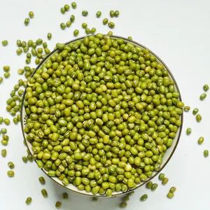 New Crop Green Mung Bean with 3.0mm Size - Fresh Green Mung Bean and 3.0mm Size Mung Bean - Balingi Trading Company (PTY) Ltd - South Africa