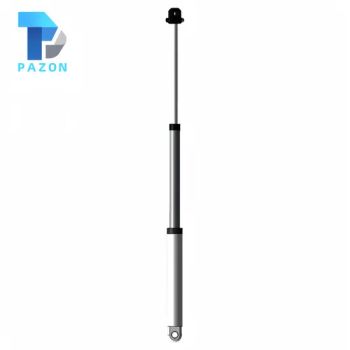 Customized Nonstandard Single Acting or Double Acting Telescopic Pistions Hydraulic Cylinder - Wuxi Pazon Technology Co., Ltd - China