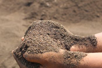 Organic fertilizer - Ocean air - India