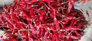 Dried Red Chilli Length 5 – 7 Cm Broken Pods Below 3% Loose Seeds Below 10% Foreign Matter Below 1% Moisture Content Below - GENIEMAMA IMPEX PVT LTD - India