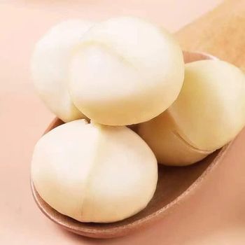 Factory Direct Bulk Organic Macadamia Nuts Freshly Roasted Cream In-Shell Dried Food at Cheap Price WHATSAP +255787979235 from AL JABLI TRADING COMPANY LIMITED Factory Direct Bulk Organic Macadamia Nuts Freshly Roasted Cream In-Shell Dried Food at Cheap Price WHATSAP +255787979235 - AL JABLI TRADING COMPANY LIMITED - Tanzania
