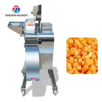 Melon Fruit Pineapple Cutting Machine Stainless Steel Food Processor Dicing Machine for Central Kitchen (TS-Q180) - Zhaoqing Tengsheng Machinery Co., Ltd. - China