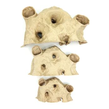Elegant Fish Tank Accessories Ornaments for All Season Aquatic Decor Pet Product - Hefei Fengkun Intelligent Technology Co., Ltd - China