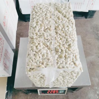 Freshly Harvested Raw Cashew Nuts With Full Flavor Cashew Nuts Available In Various Packing Sizes For Export Trade - THE GREEN INTERNATIONAL LIMITED - Tanzania