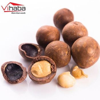 Wholesale Macadamia nut Organic Macca nuts Nut & Kernel Snacks Macadamia Raw - VIHABA CO., LTD - Vietnam