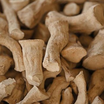 Organic dried Shiitake Mushroom legs - dried 3%RH, USDA, JAS, EU organic - Như Khuê Lotus Kitchen - Vietnam