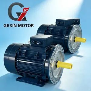 Ie2 1000rpm Compact and High-Efficiency Motor for HVAC Blowers & Pumps - Gexin Electromechanical Co., Ltd. - China