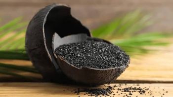 Coconut shell-based Granular Activated Carbon IV 800-1200 low moisture&ash superior hardness - PT Global Niaga Aksara - Indonesia