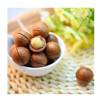 organic raw macadamia nuts spanish macadamia nut dried macadamia nuts -  CALIPSO POLSKA SP Z OO  - Poland