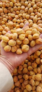 Dried Apricots - Basir Ahmad Sabir Sole Proprietor - Afghanistan