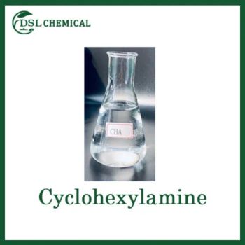 High Quality Organic Chemical Raw Material Liquid Cyclohexylamine - Shandong Desenlai Chemical Co., Ltd - China