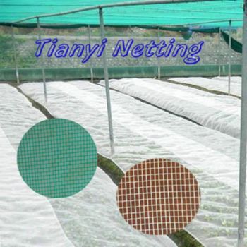 Agriculture Anti Insect Net, Window Screens, Insect and Mosquito Control, Dustproof - Tianyi Netting Co., Ltd. Putian - China