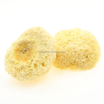 High Quality Chinese Edible jelly Tremella Price Fuciformis Dried Snow Fungus - Hebei Nihewan Agricultural Development Co., Ltd. - China