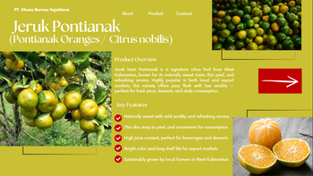 Jeruk Pontianak (Citrus reticulata) from PT. Dheza Borneo Sejahtera Jeruk Pontianak (Citrus reticulata) - PT. Dheza Borneo Sejahtera - Indonesia