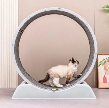 Cat Wheel Exerciser Easy to Install Cat Toys Manufacturer Suit Cat Origin China Trademark OEM Applicable Pet Material - Tianjin Smart Pets Technology Co., Ltd. - China