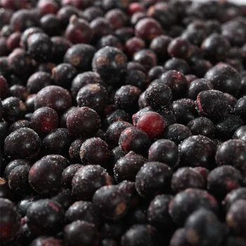 Health Wholesale Frozen Fruit Blackcurrant IQF Frozen Blackcurrant - Shanxi Jiemaotong Import and Export Co., Ltd - China