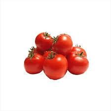 Fresh Tomatoes – Premium Quality Farm Fresh Tomatoes for Export - TRADE NEPAL LLC - United States