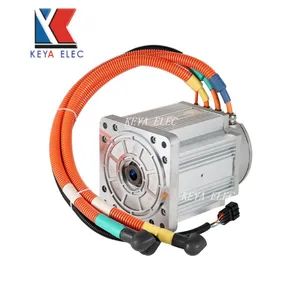 Electric Motor 4000W Efficient-Drive Pmsm BLDC Electric DC Motor - Xuzhou Keya Electric Co., Ltd - China