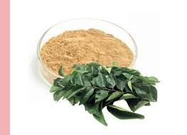 Curry Leaf Extract Family Rutaceae Parts Used Leaves Aroma Strong, Woody Common Name Curry Leaves Concentration 99.50%, 99.90% - SHREE SAI BIOTECH - India