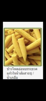 Baby corn in brine from FOOD LEADER CO.,LTD, FROM THAILAND Baby corn in brine - FOOD LEADER CO.,LTD, FROM THAILAND - Thailand